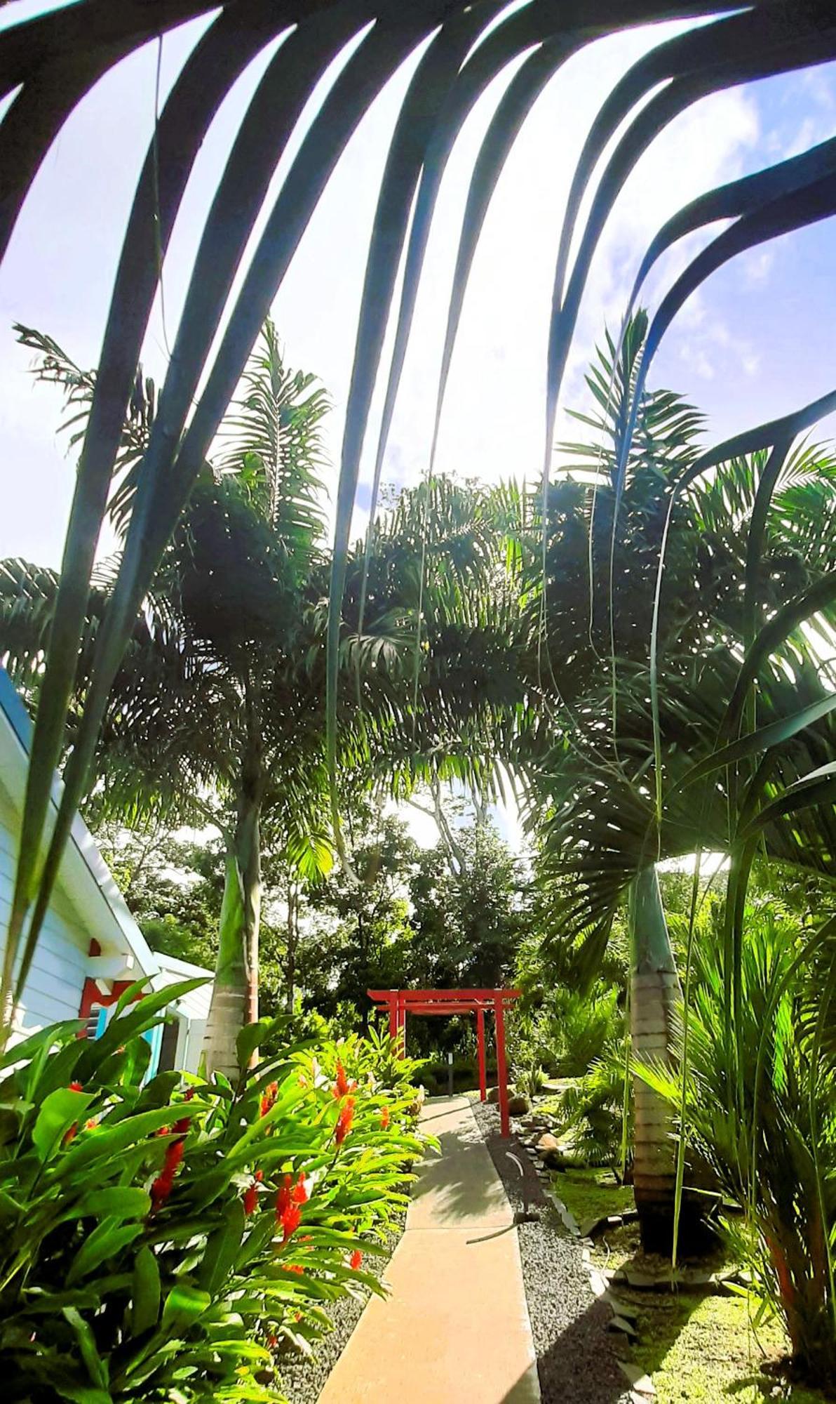 Caraibes Cottages Corail Piscine Privee A 900M De La Plage De Grande Anse Deshaies Luaran gambar