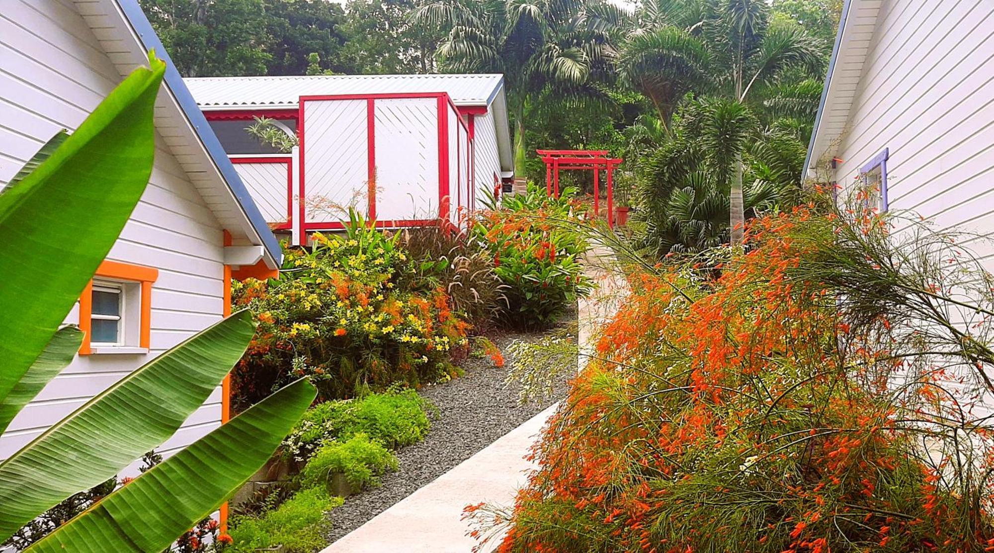 Caraibes Cottages Corail Piscine Privee A 900M De La Plage De Grande Anse Deshaies Luaran gambar