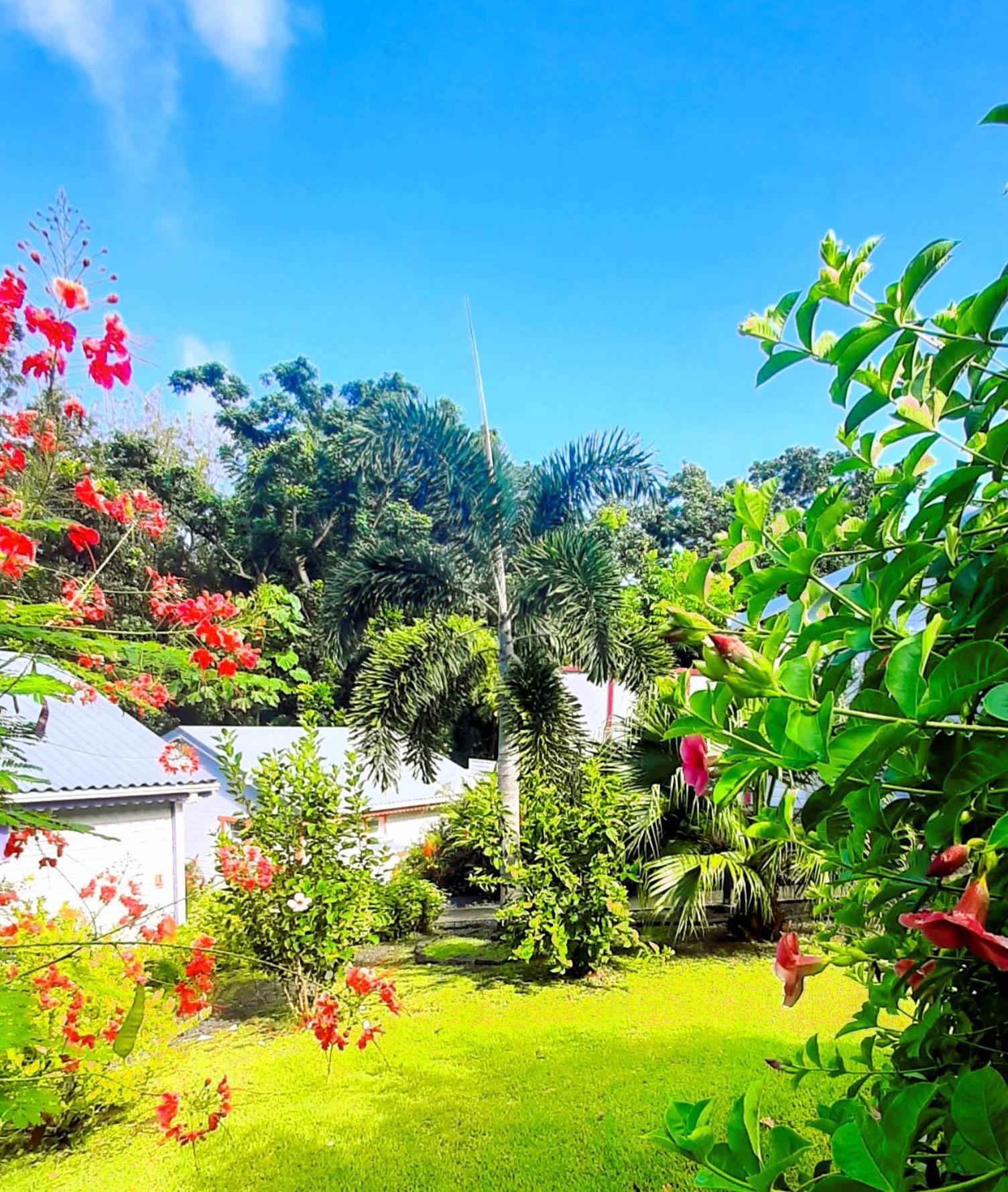 Caraibes Cottages Corail Piscine Privee A 900M De La Plage De Grande Anse Deshaies Luaran gambar