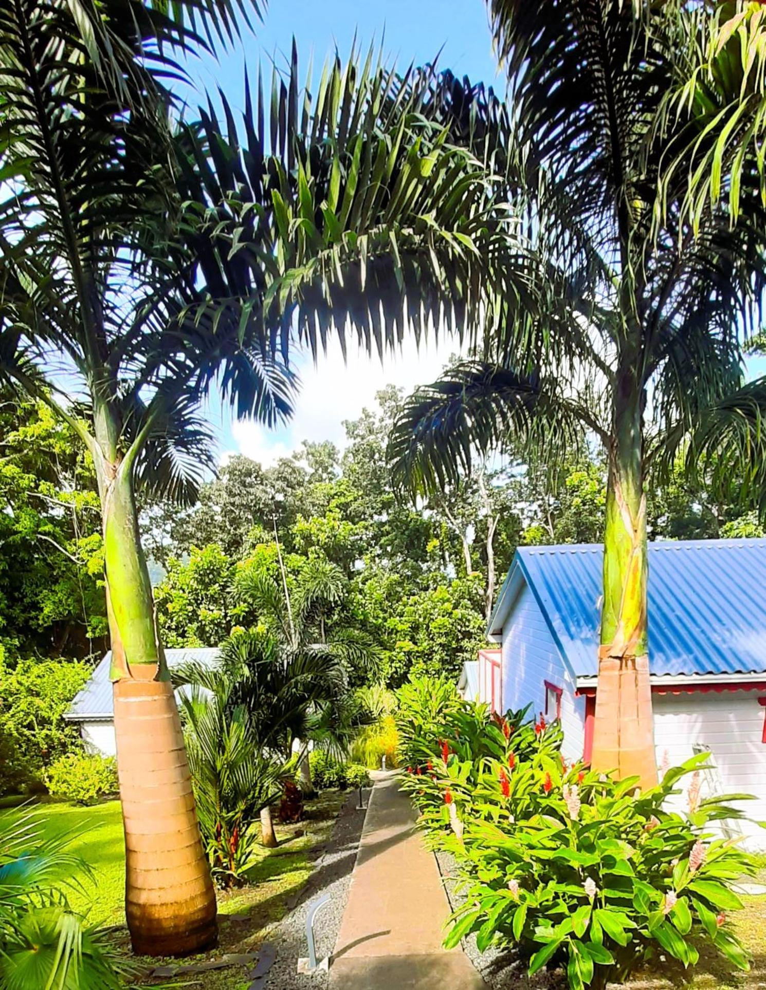 Caraibes Cottages Corail Piscine Privee A 900M De La Plage De Grande Anse Deshaies Luaran gambar